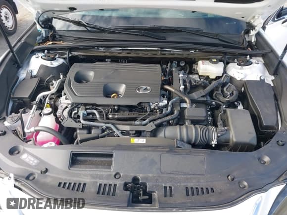 ✅ 2024 Lexus ES 300h Luxury • VIN: 58AEA1C10RU048315 • Lot: 42206402. Listed on IAAI with 7,971 mi. Free auction sales archive from the USA and detailed vehicle history report at DreamBid. Image 10.