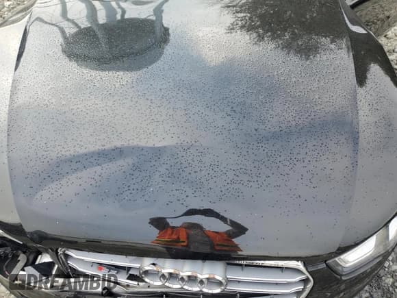 ✅ 2013 Audi S5 Premium Plus • VIN: WAUCGAFR3DA068214 • Lot: 69732035. Wystawiony na Copart z przebiegiem 132 734 mil. Bezpłatny archiwum sprzedaży aukcyjnych z USA i szczegółowy raport historii pojazdu na DreamBid. Zdjęcie 11.