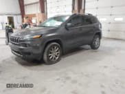 ✅ 2018 Jeep Cherokee Limited • VIN: 1C4PJMDB0JD607329 • Lot: 42446238. Wystawiony na IAAI z przebiegiem 115 382 mil. Bezpłatny archiwum sprzedaży aukcyjnych z USA i szczegółowy raport historii pojazdu na DreamBid. Zdjęcie 2.