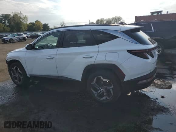 2022 Hyundai Tucson SEL with VIN KM8JBDA23NU038694, listed as a Copart auction lot 71923945 with 42,498 mi miles and Salvage title. Bid and sale history available at DreamBid. Image 2.