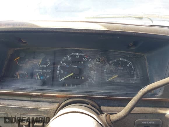 ✅ 1991 Ford Bronco Custom • VIN: 1FMEU15H8MLA48036 • Lot: 42885884. Wystawiony na IAAI z przebiegiem 2 187 mil. Bezpłatny archiwum sprzedaży aukcyjnych z USA i szczegółowy raport historii pojazdu na DreamBid. Zdjęcie 7.