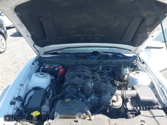 2014 Ford Mustang V6 with VIN 1ZVBP8AM2E5275588, listed as a IAAI auction lot 42620111 with 65,729 mi miles and . Bid and sale history available at DreamBid. Image 10.