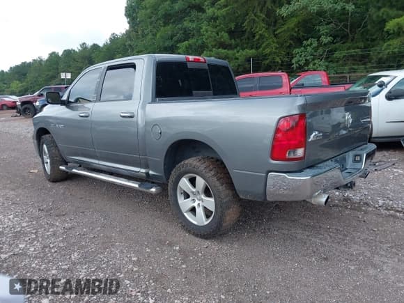 ✅ 2010 Dodge 1500 SLT • VIN: 1D7RB1CTXAS185067 • Lot: 42476818. Wystawiony na IAAI z przebiegiem 196 130 mil. Bezpłatny archiwum sprzedaży aukcyjnych z USA i szczegółowy raport historii pojazdu na DreamBid. Zdjęcie 3.