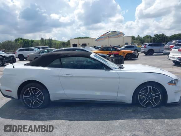 2023 Ford Mustang EcoBoost with VIN 1FATP8UH6P5105734, listed as a IAAI auction lot 43493168 with 67,596 mi miles and . Bid and sale history available at DreamBid. Image 14.