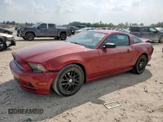 2014 Ford Mustang V6 с VIN 1ZVBP8AM4E5326475, выставлен на аукционе Copart как лот 81302885 с пробегом 147 836 миль миль и Списание • Salvage title. История ставок и продаж доступна на DreamBid. Изображение 1.