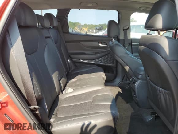 ✅ 2023 Hyundai Santa Fe SEL Premium • VIN: 5NMS3DA12PH003474 • Lot: 69751374. Wystawiony na Copart z przebiegiem 18 316 mil. Bezpłatny archiwum sprzedaży aukcyjnych z USA i szczegółowy raport historii pojazdu na DreamBid. Zdjęcie 11.