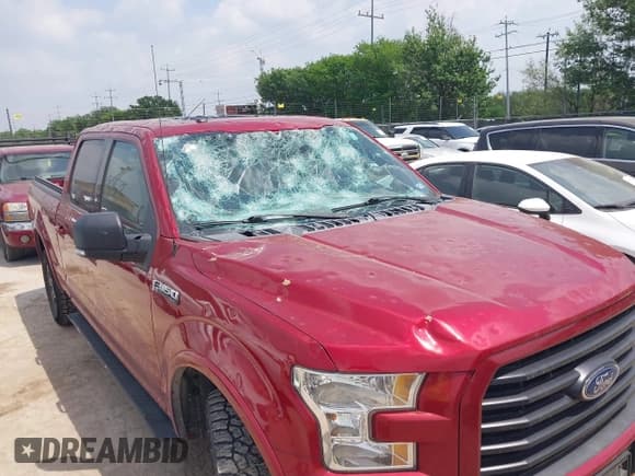 ✅ 2017 Ford F-150 XL • VIN: 1FTFW1EF9HKC90962 • Lot: 41955697. Listed on IAAI with 129,896 mi. Free auction sales archive from the USA and detailed vehicle history report at DreamBid. Image 6.