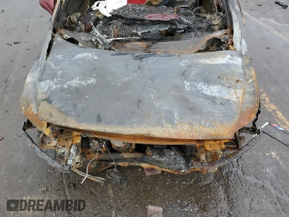 ✅ 2008 Honda Civic EX • VIN: 1HGFA15898L019993 • Лот: 64588775. Опубликован ранее на Copart с пробегом Не указан. Бесплатный доступ к архиву аукционных продаж из США и подробный отчёт об истории автомобиля на DreamBid. Изображение 11.