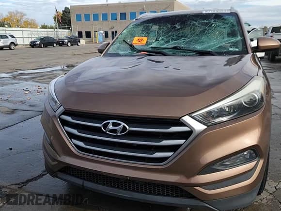 ✅ 2017 Hyundai Tucson SE • VIN: KM8J3CA45HU276205 • Лот: 87124935. Опубликован ранее на Copart с пробегом Не указан. Бесплатный доступ к архиву аукционных продаж из США и подробный отчёт об истории автомобиля на DreamBid. Изображение 14.
