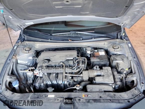 ✅ 2024 Hyundai Elantra SEL • VIN: KMHLM4DG0RU675154 • Lot: 91286785. Wystawiony na Copart z przebiegiem 42 862 mil. Bezpłatny archiwum sprzedaży aukcyjnych z USA i szczegółowy raport historii pojazdu na DreamBid. Zdjęcie 11.