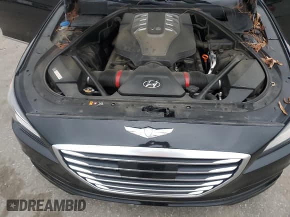 ✅ 2015 Hyundai Genesis 5.0L • VIN: KMHGN4JF5FU038055 • Lot: 84234384. Wystawiony na Copart z przebiegiem 127 983 mil. Bezpłatny archiwum sprzedaży aukcyjnych z USA i szczegółowy raport historii pojazdu na DreamBid. Zdjęcie 13.