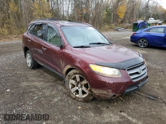 ✅ 2007 Hyundai Santa Fe SE • VIN: 5NMSH73EX7H062078 • Lot: 78164024. Listed on Copart with 231,501 mi. Free auction sales archive from the USA and detailed vehicle history report at DreamBid. Image 4.