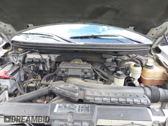 ✅ 2008 Ford F-150 XLT • VIN: 1FTPW12V98FB16463 • Lot: 42264412. Wystawiony na IAAI z przebiegiem 223 523 mil. Bezpłatny archiwum sprzedaży aukcyjnych z USA i szczegółowy raport historii pojazdu na DreamBid. Zdjęcie 10.