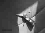 2015 Hyundai Elantra Limited с VIN 5NPDH4AE7FH637989, выставлен на аукционе IAAI как лот 43500452 с пробегом 116 946 миль миль и . История ставок и продаж доступна на DreamBid. Изображение 11.