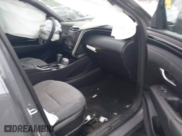 2024 Hyundai Santa Cruz SEL с VIN 5NTJCDAE6RH098241, выставлен на аукционе IAAI как лот 40939854 с пробегом 22 194 миль миль и . История ставок и продаж доступна на DreamBid. Изображение 5.