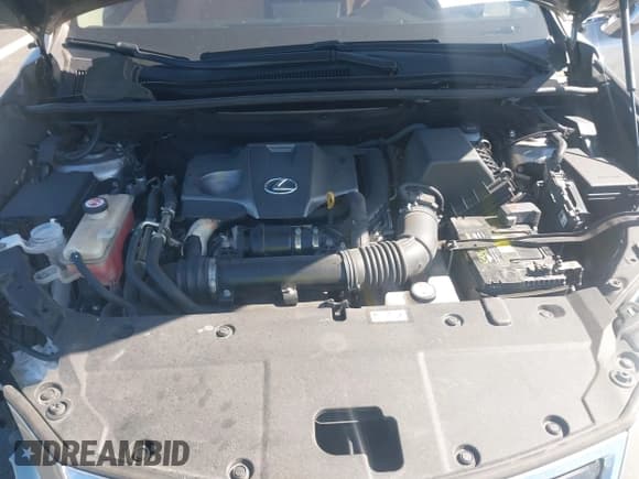 ✅ 2021 Lexus NX 300 • VIN: JTJDARBZ3M2188650 • Лот: 43659167. Опубликован ранее на IAAI с пробегом 72 695 миль. Бесплатный доступ к архиву аукционных продаж из США и подробный отчёт об истории автомобиля на DreamBid. Изображение 10.