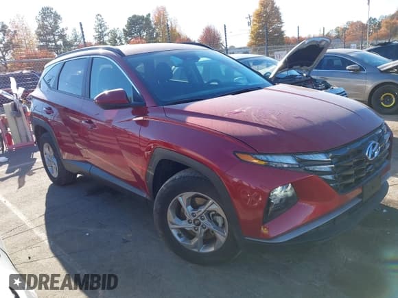 ✅ 2024 Hyundai Tucson SEL • VIN: 5NMJBCDE3RH407829 • Lot: 43636932. Listed on IAAI with 33,979 mi. Free auction sales archive from the USA and detailed vehicle history report at DreamBid. Image 13.