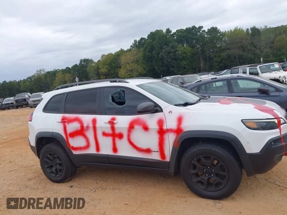 ✅ 2020 Jeep Cherokee Trailhawk • VIN: 1C4PJMBX8LD517802 • Лот: 43383473. Опубликован ранее на IAAI с пробегом 124 124 миль. Бесплатный доступ к архиву аукционных продаж из США и подробный отчёт об истории автомобиля на DreamBid. Изображение 13.