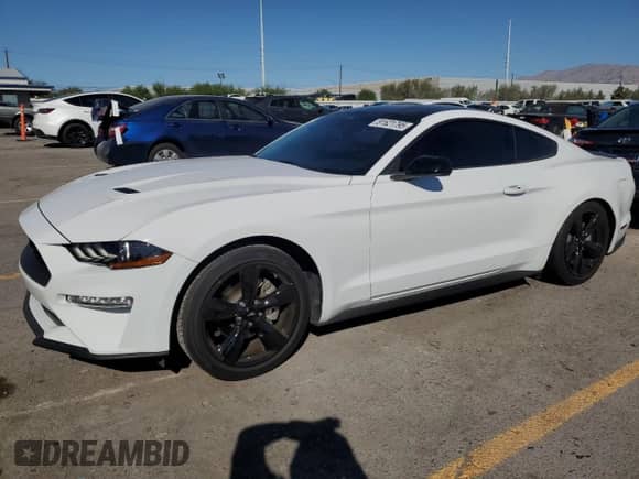 2023 Ford Mustang EcoBoost with VIN 1FA6P8TH0P5101855, listed as a Copart auction lot 81621795 with 20,005 mi miles and Salvage title. Bid and sale history available at DreamBid. Image 1.
