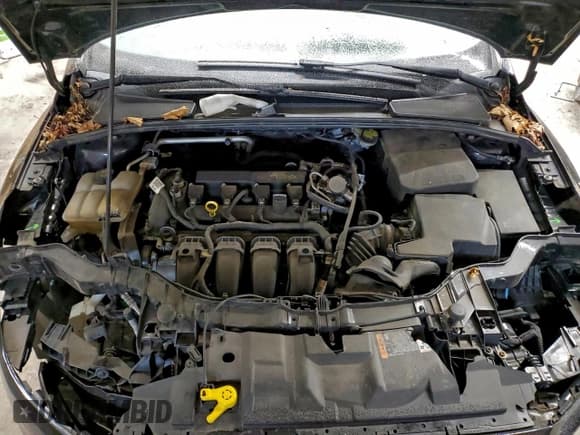 ✅ 2016 Ford Focus SE • VIN: 1FADP3F21GL385123 • Lot: 95723205. Listed on Copart with 78,085 mi. Free auction sales archive from the USA and detailed vehicle history report at DreamBid. Image 11.