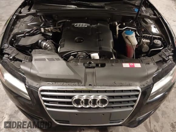 ✅ 2010 Audi A5 Premium Plus • VIN: WAULFAFR9AA052274 • Lot: 42408271. Wystawiony na IAAI z przebiegiem 132 624 mil. Bezpłatny archiwum sprzedaży aukcyjnych z USA i szczegółowy raport historii pojazdu na DreamBid. Zdjęcie 10.