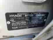 2002 Hyundai Santa Fe GLS z VIN KM8SC73D92U182330, wystawiony jako Copart lot #41827535 z przebiegiem 177 157 mil mil oraz Szkoda całkowita • Salvage title. Historia ofert i sprzedaży dostępna na DreamBid. Obrazek 12.