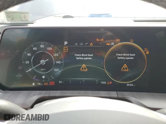 ✅ 2025 Kia Telluride SX-Prestige X-Line • VIN: 5XYP5DGC3SG643107 • Lot: 67820535. Wystawiony na Copart z przebiegiem 3 534 mil. Bezpłatny archiwum sprzedaży aukcyjnych z USA i szczegółowy raport historii pojazdu na DreamBid. Zdjęcie 9.