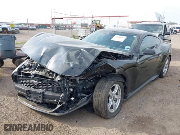 ✅ 2024 Ford Mustang EcoBoost • VIN: 1FA6P8TH6R5109204 • Lot: 42460255. Listed on IAAI with 23,782 mi. Free auction sales archive from the USA and detailed vehicle history report at DreamBid. Image 6.