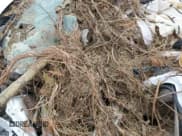 ✅ 2004 Chevrolet Suburban Z71 • VIN: 3GNFK16Z54G231050 • Лот: 75822914. Опубликован ранее на Copart с пробегом Не указан. Бесплатный доступ к архиву аукционных продаж из США и подробный отчёт об истории автомобиля на DreamBid. Изображение 7.