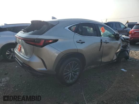✅ 2022 Lexus NX 250 Premium • VIN: 2T2GDCEZ5NC001052 • Lot: 70559934. Listed on Copart with 23,379 mi. Free auction sales archive from the USA and detailed vehicle history report at DreamBid. Image 3.