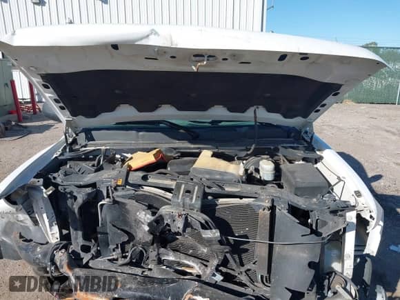 2011 Chevrolet Silverado 1500 Work Truck with VIN 1GCNCPEX6BZ223072, listed as a IAAI auction lot 43506041 with Not provided miles and . Bid and sale history available at DreamBid. Image 10.