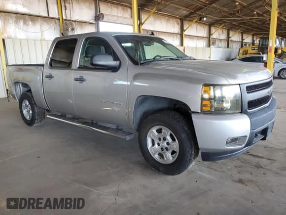 ✅ 2009 Chevrolet Silverado 1500 • VIN: 2GCEC23J491141524 • Lot: 68752334. Wystawiony na Copart z przebiegiem 123 223 mil. Bezpłatny archiwum sprzedaży aukcyjnych z USA i szczegółowy raport historii pojazdu na DreamBid. Zdjęcie 4.