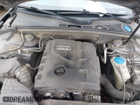 ✅ 2013 Audi A5 Premium Plus • VIN: WAULFAFR3DA001048 • Lot: 43053968. Wystawiony na IAAI z przebiegiem 157 669 mil. Bezpłatny archiwum sprzedaży aukcyjnych z USA i szczegółowy raport historii pojazdu na DreamBid. Zdjęcie 10.