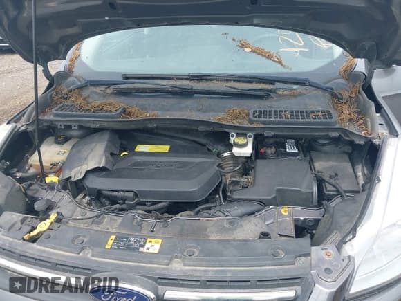 ✅ 2013 Ford Escape SE • VIN: 1FMCU0GX2DUA31362 • Lot: 42564337. Wystawiony na IAAI z przebiegiem 157 737 mil. Bezpłatny archiwum sprzedaży aukcyjnych z USA i szczegółowy raport historii pojazdu na DreamBid. Zdjęcie 10.