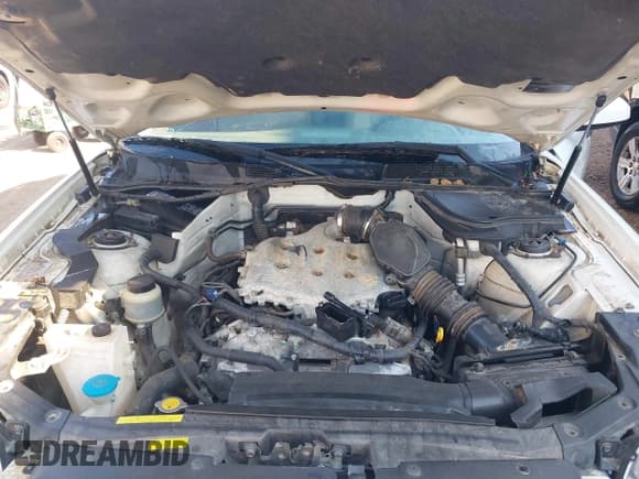 ✅ 2008 Infiniti FX • VIN: JNRAS08U18X101637 • Lot: 43257382. Wystawiony na IAAI z przebiegiem 166 886 mil. Bezpłatny archiwum sprzedaży aukcyjnych z USA i szczegółowy raport historii pojazdu na DreamBid. Zdjęcie 10.