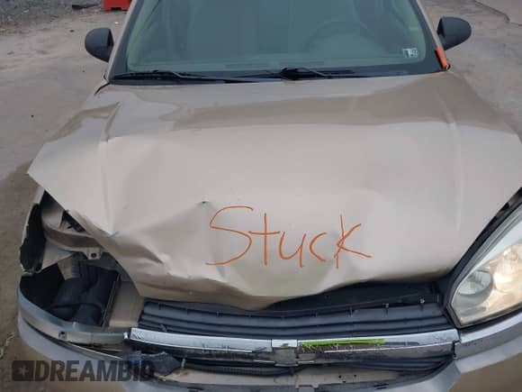 2005 Chevrolet Malibu LS with VIN 1G1ZT52895F300583, listed as a IAAI auction lot 43579786 with 157,634 mi miles and . Bid and sale history available at DreamBid. Image 10.