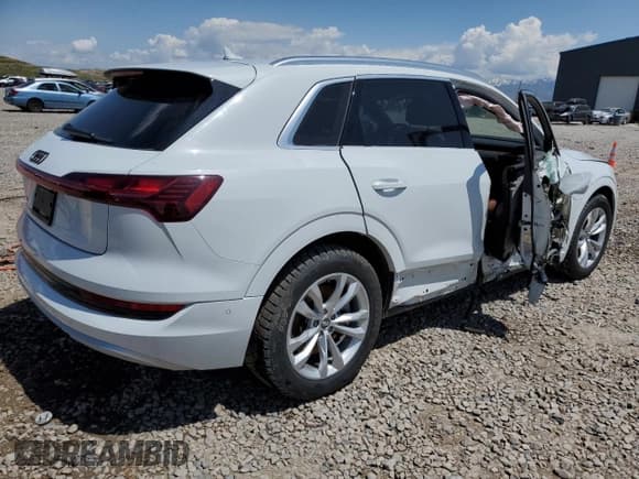 ✅ 2019 Audi e-tron Prestige • VIN: WA1VABGE8KB022801 • Lot: 52213123. Wystawiony na Copart z przebiegiem 28 988 mil. Bezpłatny archiwum sprzedaży aukcyjnych z USA i szczegółowy raport historii pojazdu na DreamBid. Zdjęcie 3.