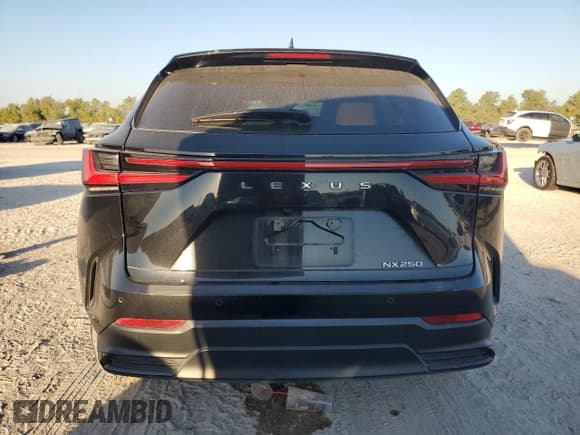 ✅ 2024 Lexus NX 250 Premium • VIN: 2T2GDCAZ2RC008648 • Lot: 82508945. Wystawiony na Copart z przebiegiem 31 645 mil. Bezpłatny archiwum sprzedaży aukcyjnych z USA i szczegółowy raport historii pojazdu na DreamBid. Zdjęcie 6.