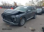 ✅ 2025 Hyundai Palisade SEL • VIN: KM8R2DGE5SU947164 • Lot: 43684787. Wystawiony na IAAI z przebiegiem 8 511 mil. Bezpłatny archiwum sprzedaży aukcyjnych z USA i szczegółowy raport historii pojazdu na DreamBid. Zdjęcie 17.