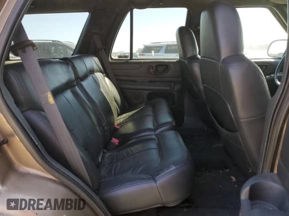 2002 Chevrolet Blazer LS z VIN 1GNDT13W32K236266, wystawiony jako Copart lot #77162424 z przebiegiem 194 532 mil mil oraz Szkoda całkowita • Salvage title. Historia ofert i sprzedaży dostępna na DreamBid. Obrazek 10.