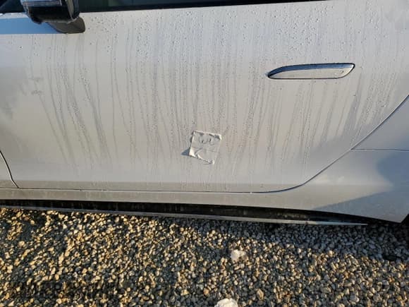 ✅ 2023 Mercedes-Benz SL 43 AMG • VIN: W1KVK5AB0PF017889 • Лот: 73967794. Опубликован ранее на Copart с пробегом Не указан. Бесплатный доступ к архиву аукционных продаж из США и подробный отчёт об истории автомобиля на DreamBid. Изображение 12.