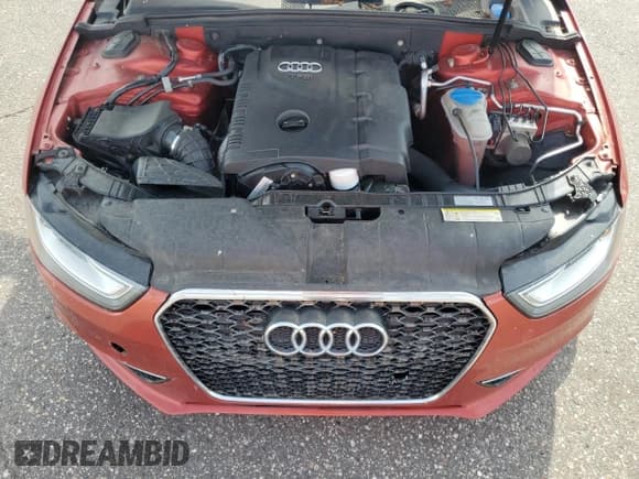 ✅ 2013 Audi A4 Premium • VIN: WAUDFAFLXDA141470 • Лот: 60891295. Опубликован ранее на Copart с пробегом Не указан. Бесплатный доступ к архиву аукционных продаж из США и подробный отчёт об истории автомобиля на DreamBid. Изображение 11.