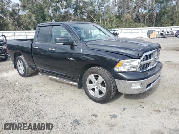 ✅ 2010 Dodge 1500 SLT • VIN: 1D7RB1GP4AS119403 • Lot: 86731604. Wystawiony na Copart z przebiegiem 223 024 mil. Bezpłatny archiwum sprzedaży aukcyjnych z USA i szczegółowy raport historii pojazdu na DreamBid. Zdjęcie 4.