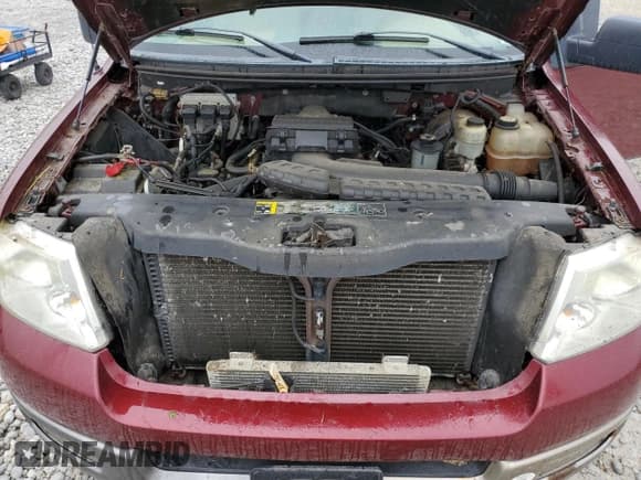 ✅ 2004 Ford F-150 XLT • VIN: 1FTPX14584NC56613 • Lot: 58609985. Wystawiony na Copart z przebiegiem 156 853 mil. Bezpłatny archiwum sprzedaży aukcyjnych z USA i szczegółowy raport historii pojazdu na DreamBid. Zdjęcie 11.