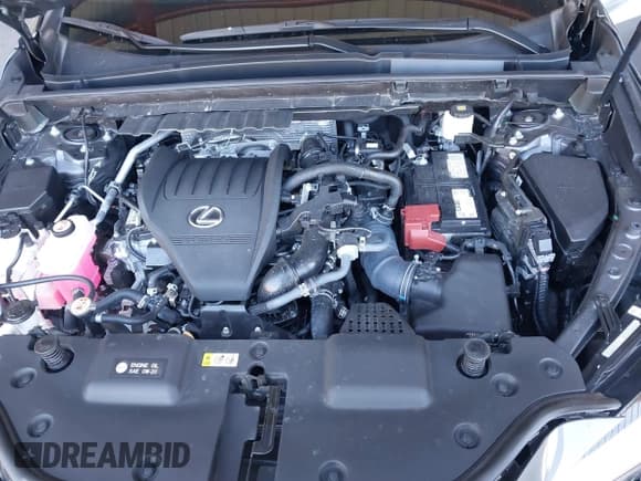 ✅ 2024 Lexus NX 350 Premium • VIN: 2T2GGCEZ6RC038902 • Lot: 41902076. Wystawiony na IAAI z przebiegiem 22 647 mil. Bezpłatny archiwum sprzedaży aukcyjnych z USA i szczegółowy raport historii pojazdu na DreamBid. Zdjęcie 10.