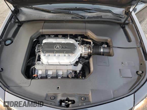 ✅ 2012 Acura TL Technology • VIN: 19UUA8F54CA000177 • Lot: 91225915. Wystawiony na Copart z przebiegiem 144 850 mil. Bezpłatny archiwum sprzedaży aukcyjnych z USA i szczegółowy raport historii pojazdu na DreamBid. Zdjęcie 11.