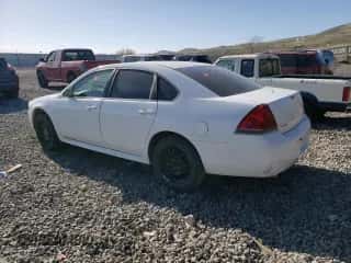 2016 Chevrolet Impala Police Police with VIN 2G1WD5E37G1101705, listed as a Copart auction lot 54254825 with Not provided miles and Salvage title. Bid and sale history available at DreamBid. Image 2.