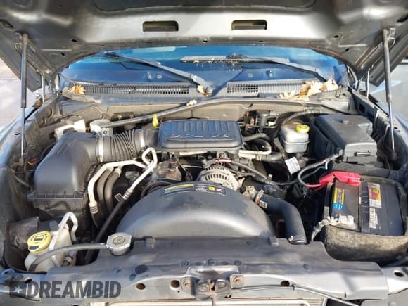 ✅ 2011 Ram Dakota Big Horn • VIN: 1D7RW3GK7BS683732 • Lot: 43734393. Wystawiony na IAAI z przebiegiem 120 629 mil. Bezpłatny archiwum sprzedaży aukcyjnych z USA i szczegółowy raport historii pojazdu na DreamBid. Zdjęcie 10.