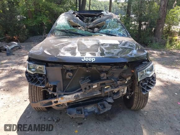 ✅ 2020 Jeep Grand Cherokee Limited • VIN: 1C4RJEBG0LC113851 • Lot: 42802374. Listed on IAAI with 44,580 mi. Free auction sales archive from the USA and detailed vehicle history report at DreamBid. Image 6.