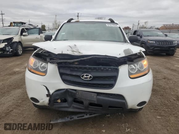 ✅ 2009 Hyundai Santa Fe GLS • VIN: 5NMSG13D89H319460 • Lot: 81617034. Listed on Copart with 131,906 mi. Free auction sales archive from the USA and detailed vehicle history report at DreamBid. Image 5.